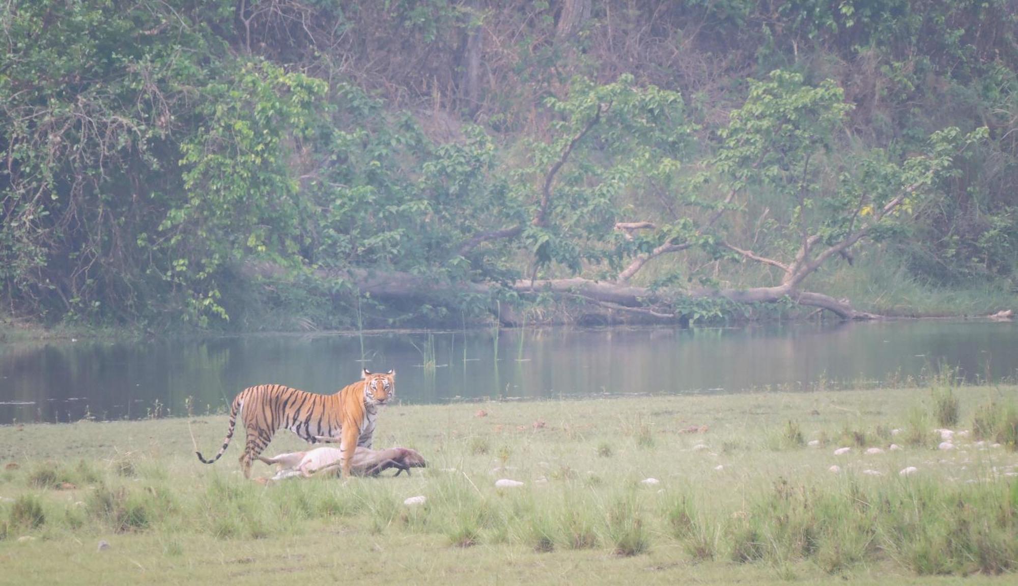 Babai Resort Pvt Ltd Bardiya Zewnętrze zdjęcie