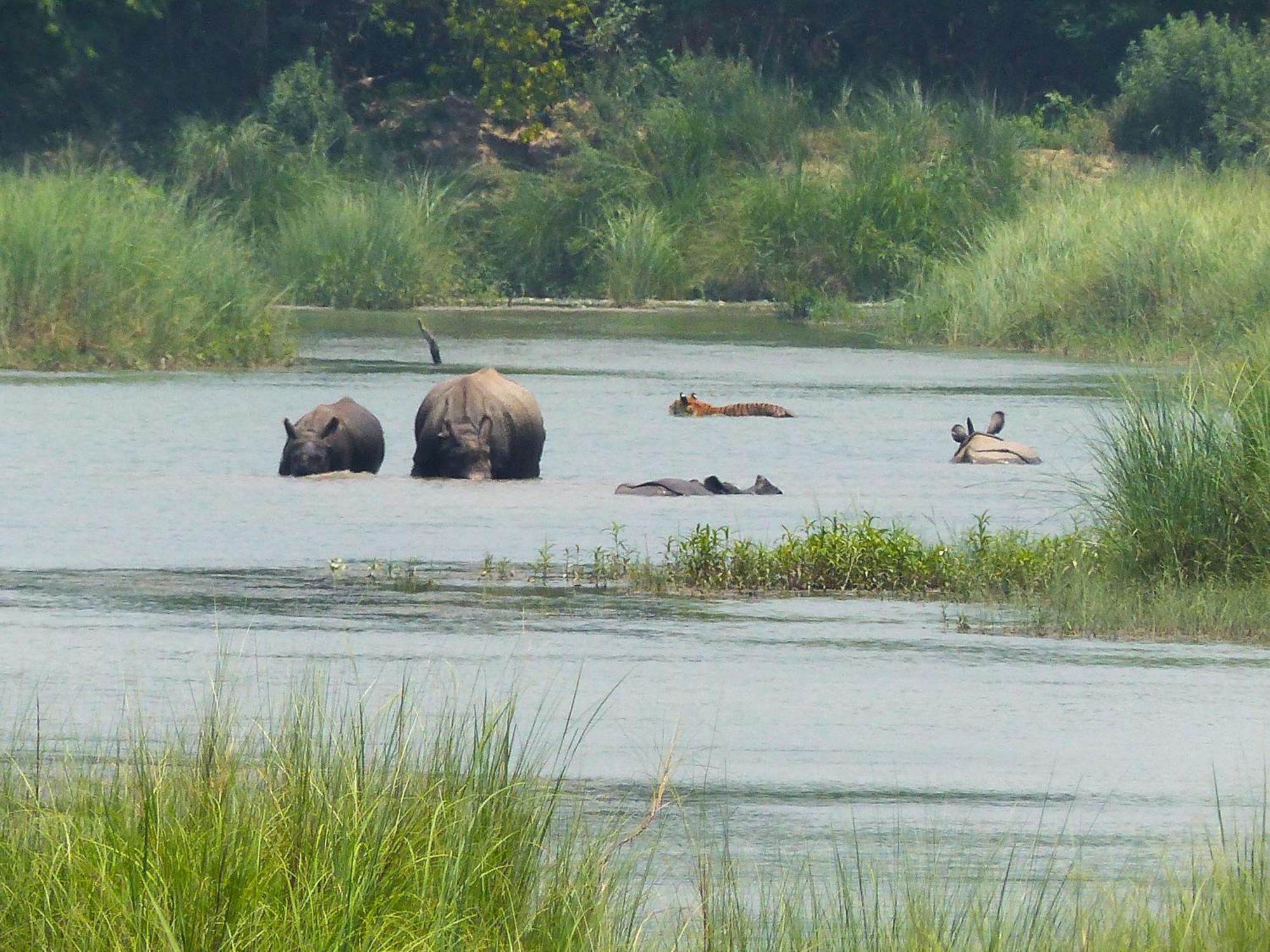 Babai Resort Pvt Ltd Bardiya Zewnętrze zdjęcie